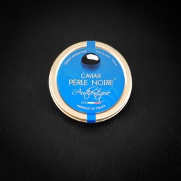 BAERII AUTHENTIQUE (Royal)