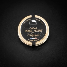 BAERII CLASSIQUE (Royal)