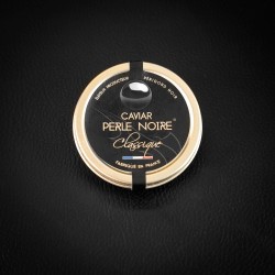 BAERII CLASSIQUE (Royal)