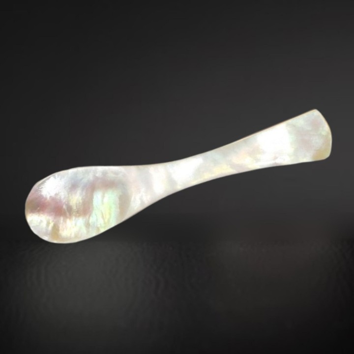 CUILLÈRE EN NACRE
