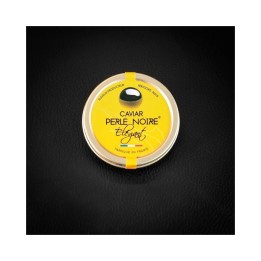 OSCIÈTRE ÉLÉGANT (Royal)