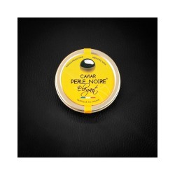 OSCIÈTRE ÉLÉGANT (Royal)