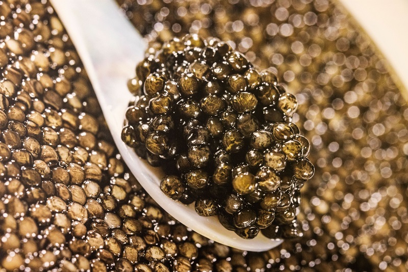 CAVIAR.jpg