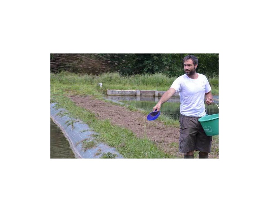 Volutpat Justo Suspendisse Praesent Fringilla.