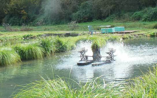 Volutpat Justo Suspendisse Praesent Fringilla.