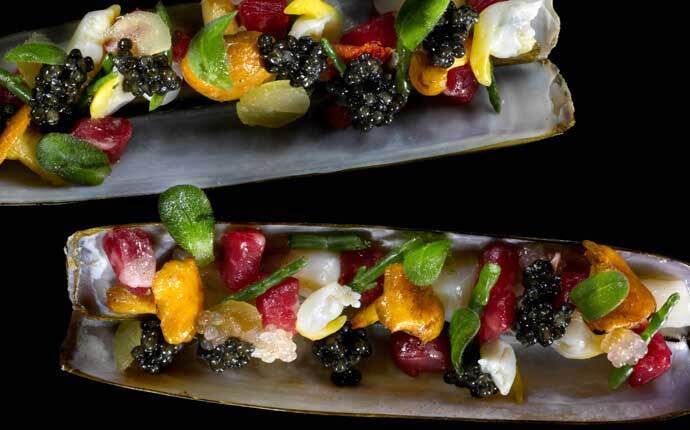 Volutpat Justo Suspendisse Praesent Fringilla.