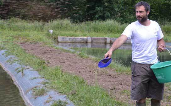 Volutpat Justo Suspendisse Praesent Fringilla